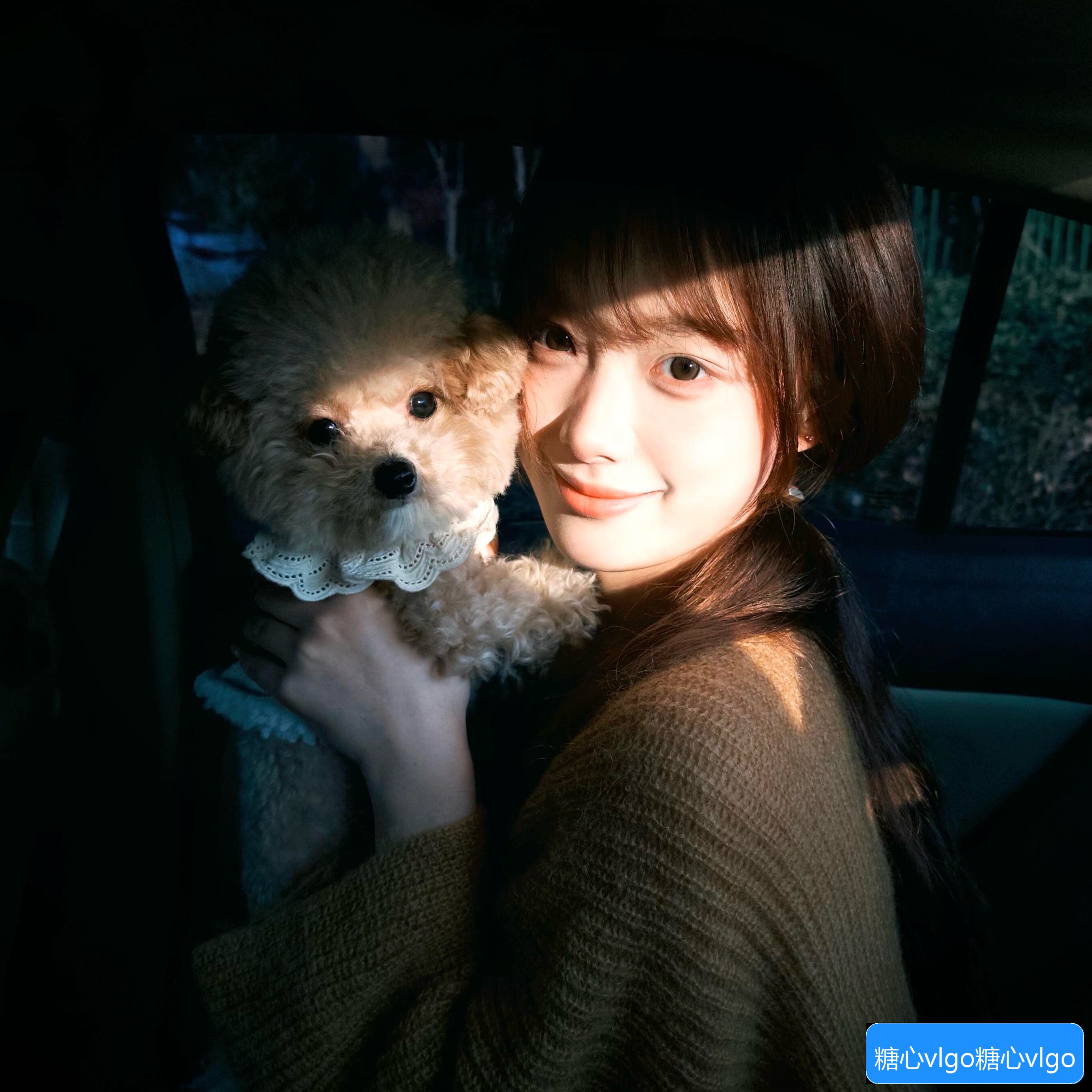 糖心vlgo.com是什么平台，它有哪些特色和优势？